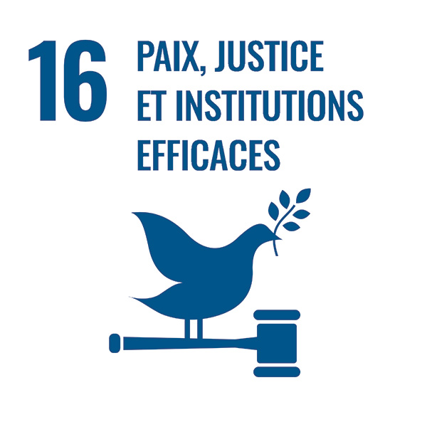 UN Goal 16 Logo