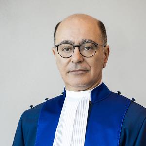 Judge Haykel Ben Mahfoudh