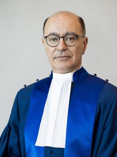 Judge Haykel Ben Mahfoudh