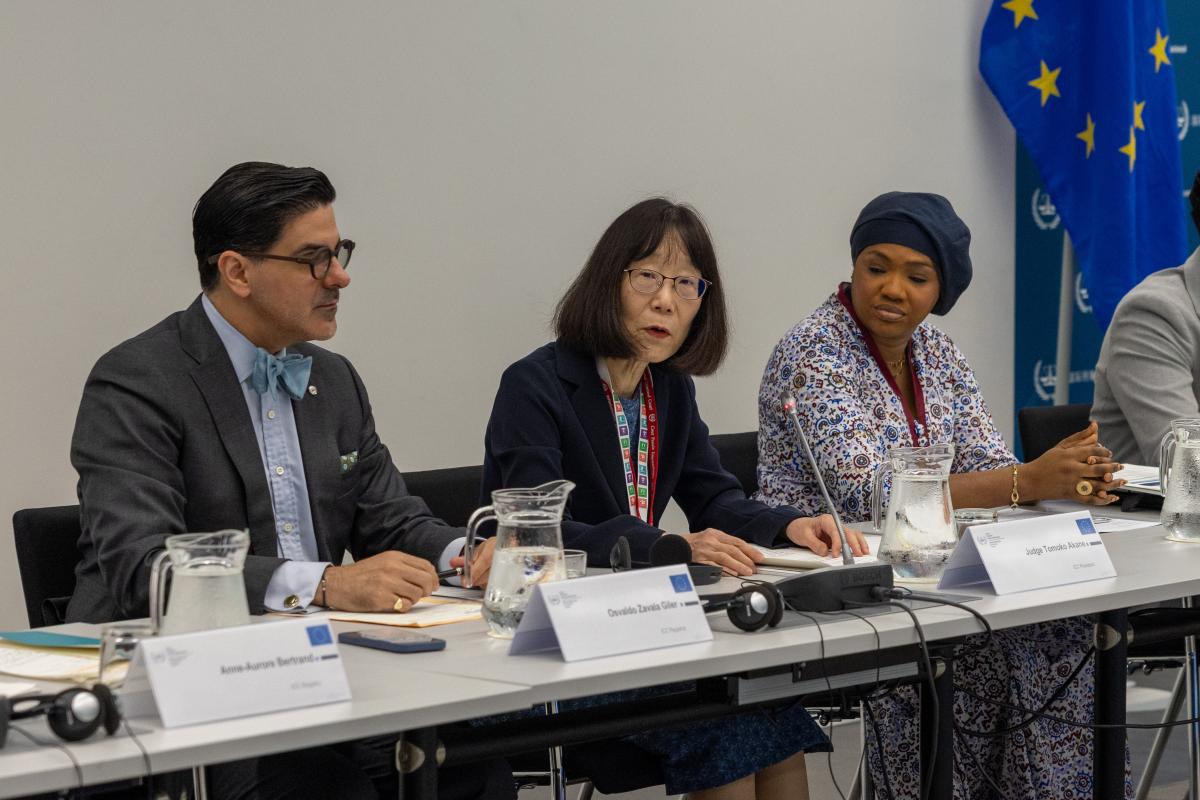 ICC hosts roundtable on State cooperation on release and interim release